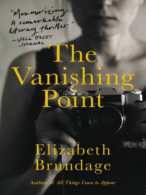Title details for The Vanishing Point by Elizabeth Brundage - Wait list